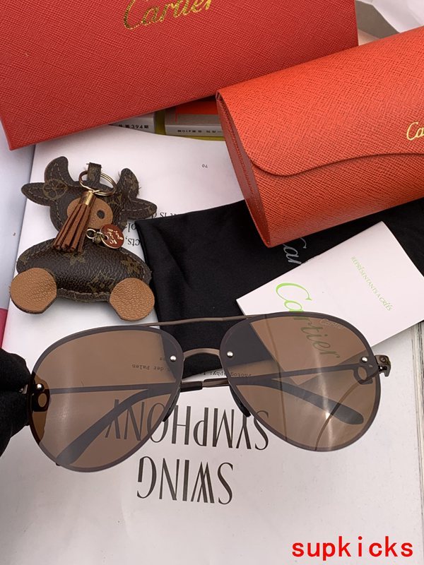 Cartier Luxury Sunglasses