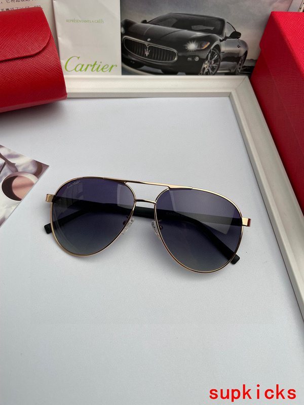 Cartier Luxury Sunglasses