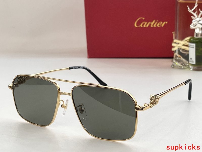Cartier Luxury Sunglasses