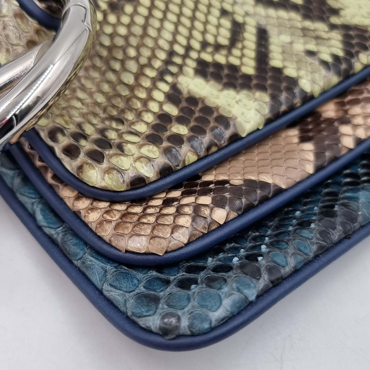 Triplette Python Clutch Blue Multicolor