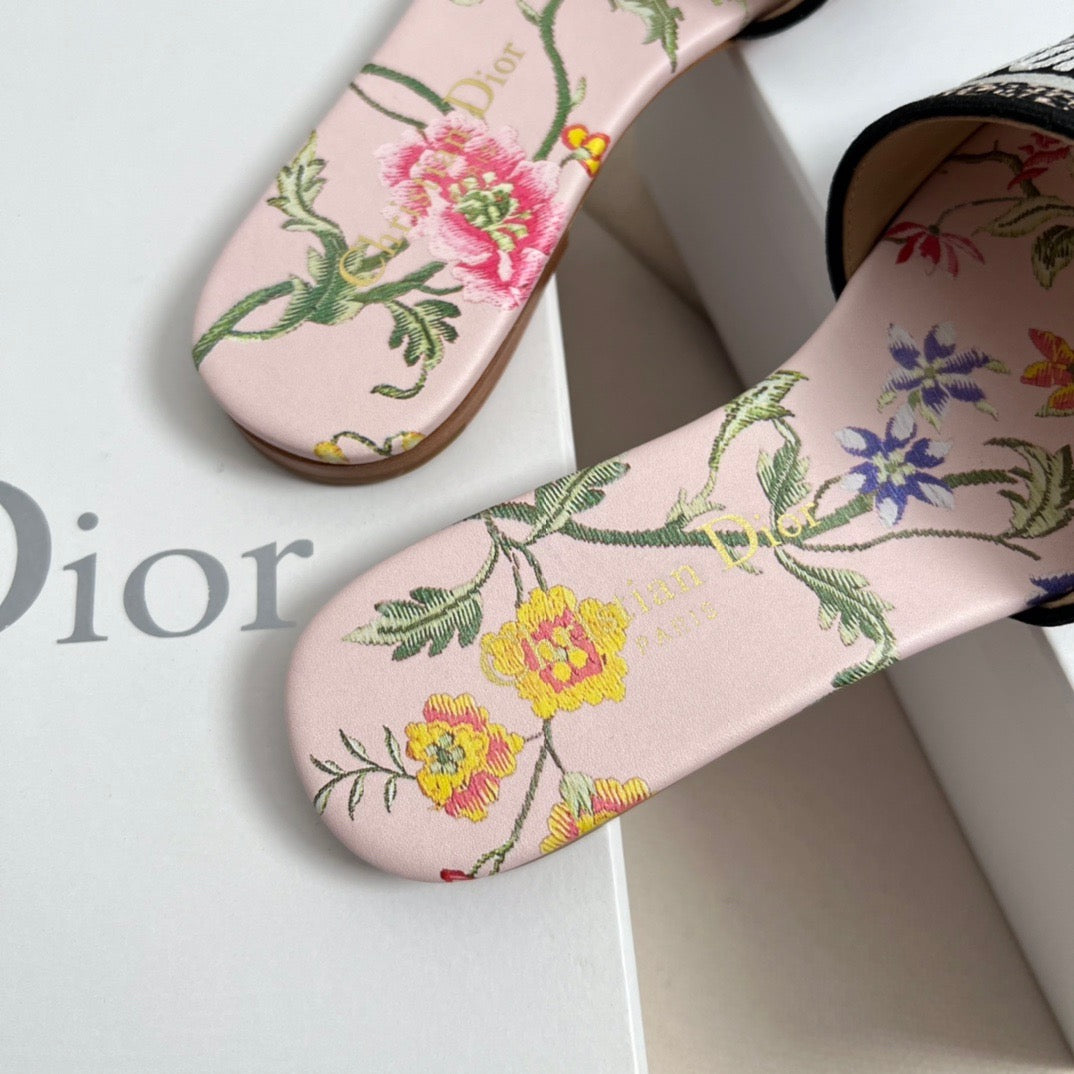 CD DWAY SLIDES