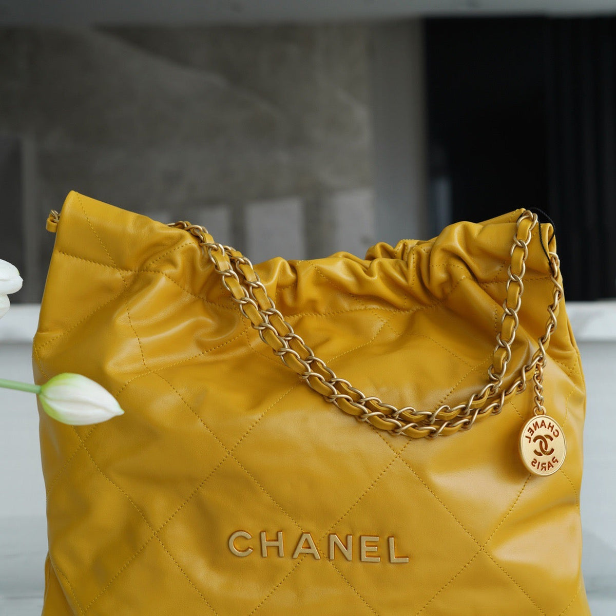 CC 22 SMALL HANDBAG