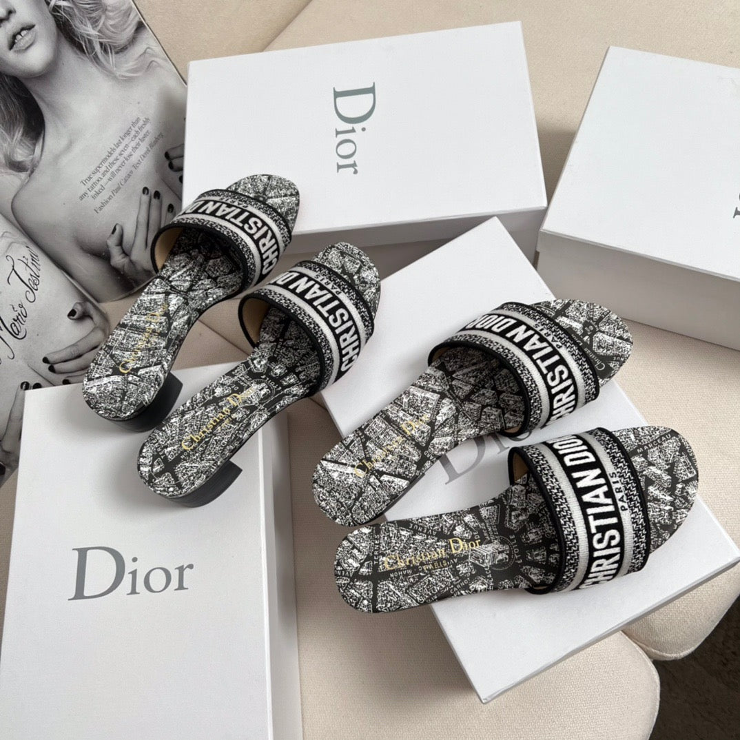 CD DWAY SLIDES