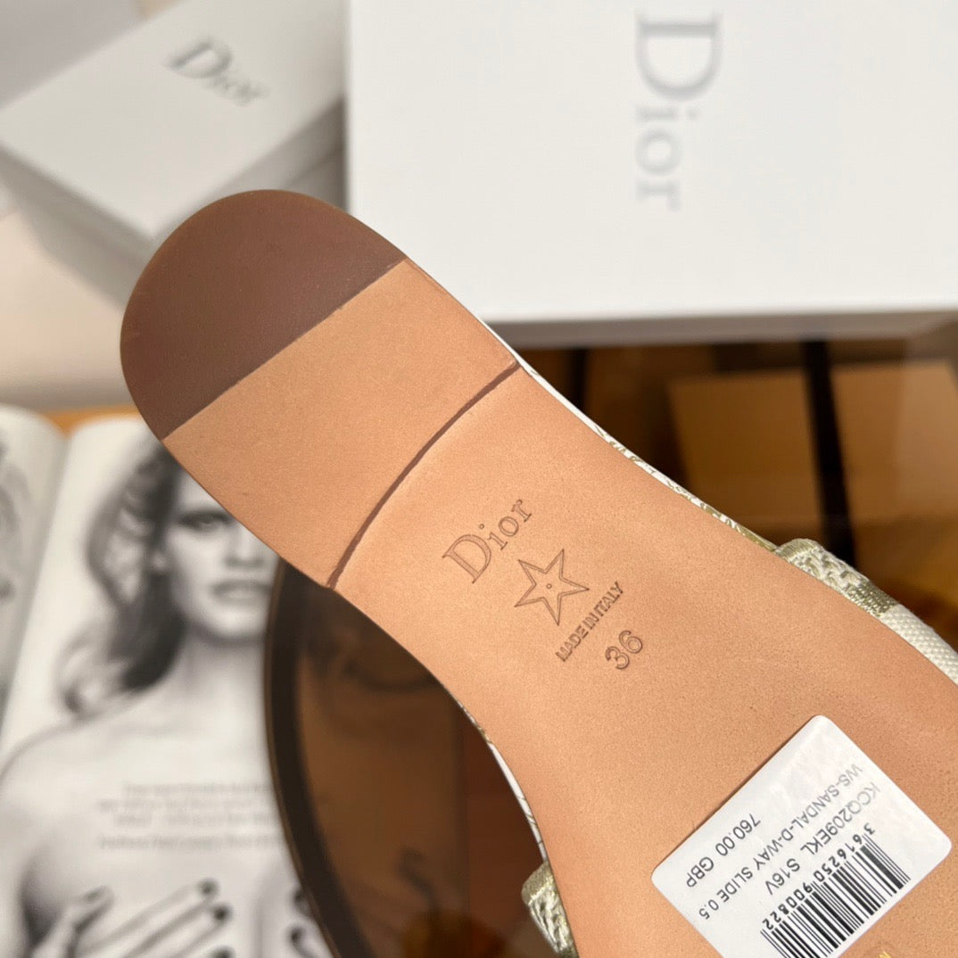 CD DWAY SLIDES