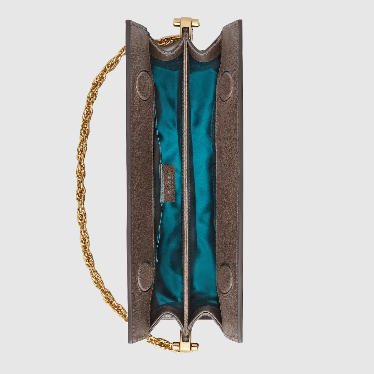 Gucci Ophidia chain strap supreme bag
