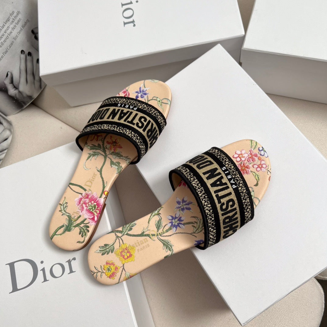 CD DWAY SLIDES