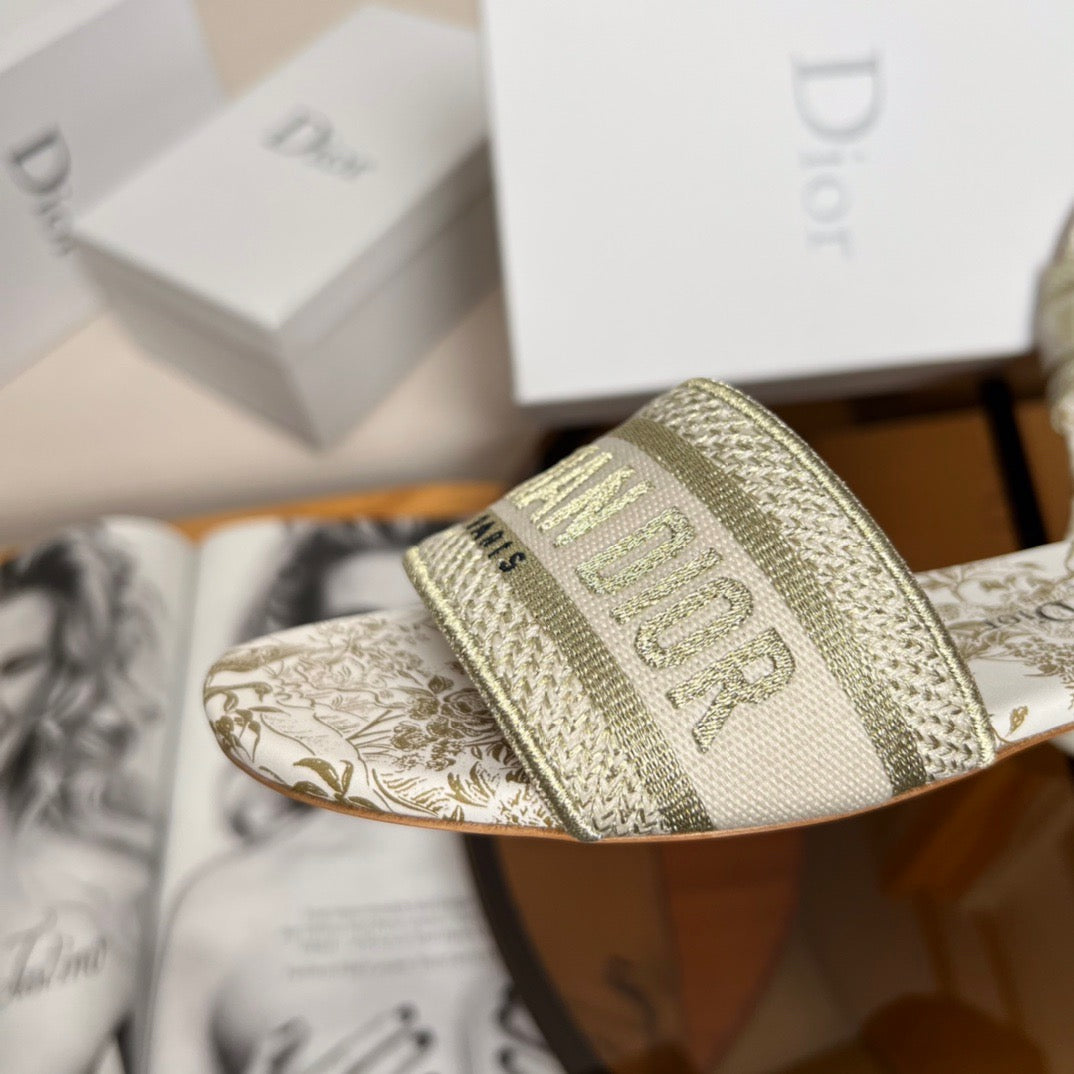 CD DWAY SLIDES