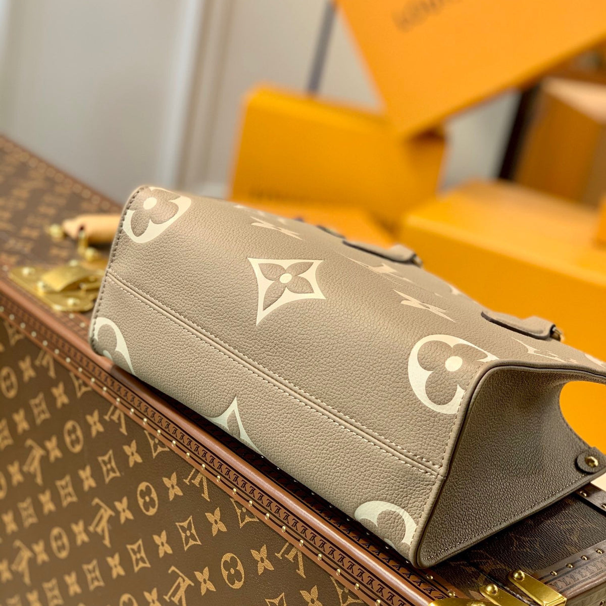 LOU ONTHEGO PM TOTE BAG