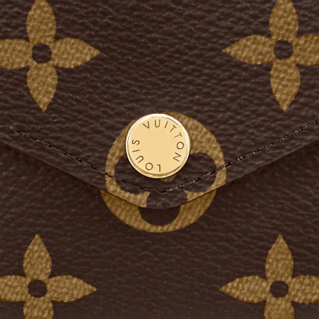 Louis Vuitton Félicie Strap & Go Monogram In Brown