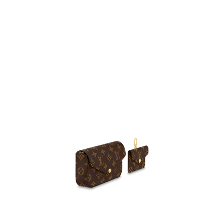 Louis Vuitton Félicie Strap & Go Monogram In Brown