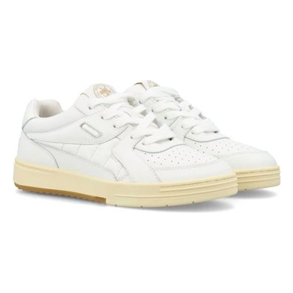 PALM UNIVERSITY SNEAKERS